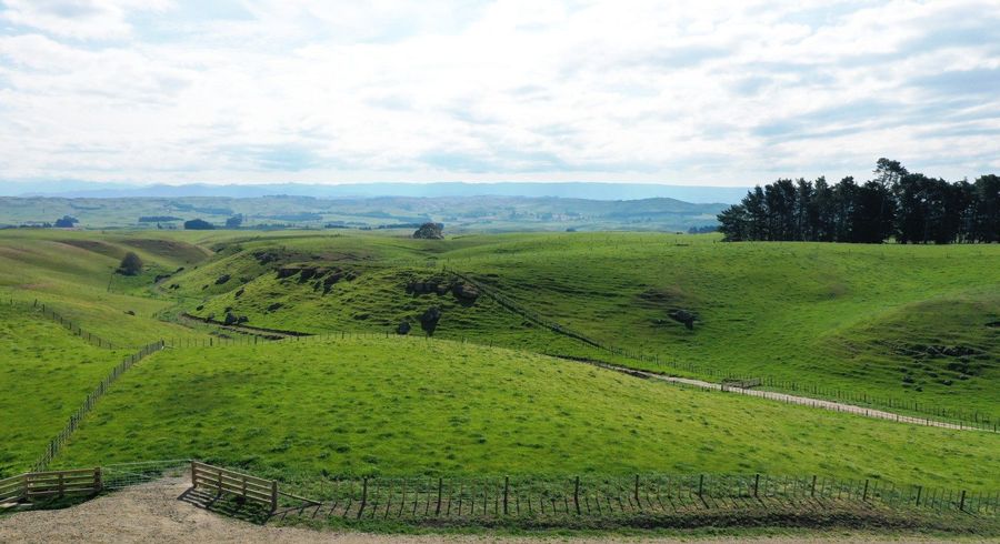  at Lot 6 Whakapirau Road, Maraekakaho, Hastings, Hawke's Bay