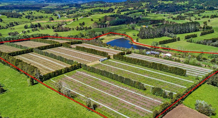  at 100E Hodge Road, Ruatangata, Whangarei, Northland