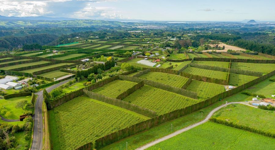  at 837 PYES PA ROAD , Pyes Pa, Tauranga