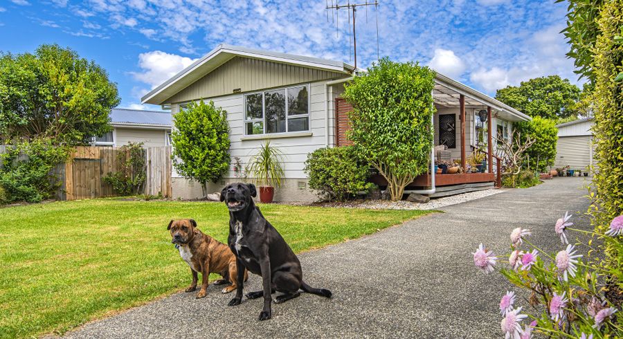 at 16 Beazley Crescent, Tikipunga, Whangarei