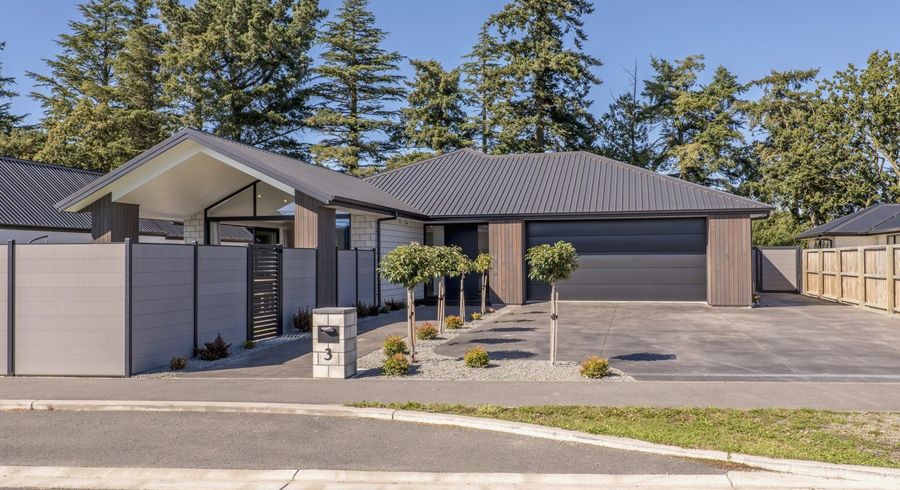  at 3 Jag Way, Tinwald, Ashburton
