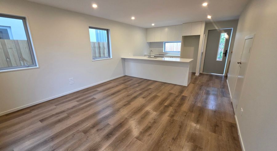  at 14 Clive Street, Phillipstown, Christchurch City, Canterbury