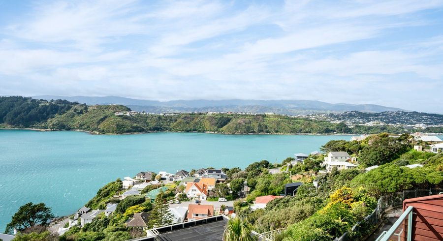  at 11/9 Arawa Road, Hataitai, Wellington, Wellington