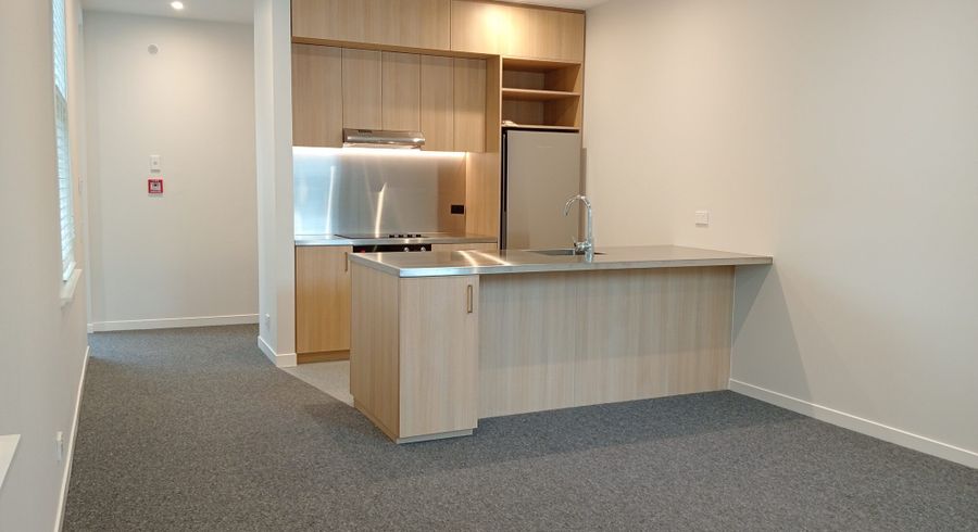  at 4/1 Milne Terrace, Island Bay, Wellington, Wellington