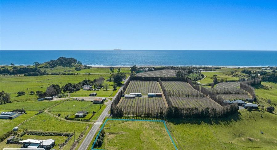  at 61 Tirohanga Road, Tirohanga, Opotiki, Bay Of Plenty
