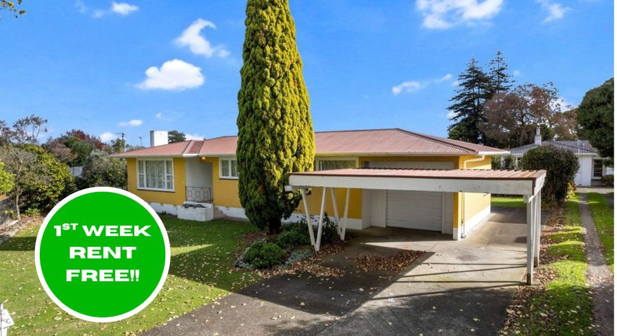  at 80 Birmingham Street, Takaro, Palmerston North