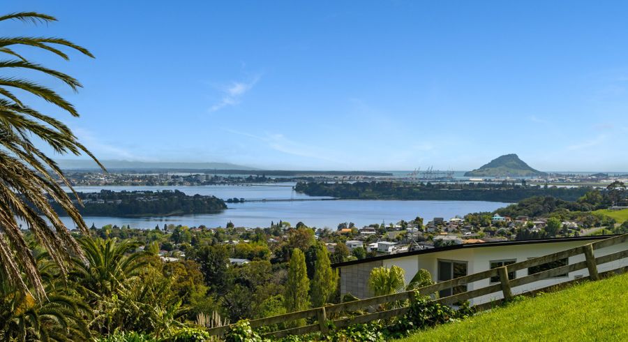 at 19 Estates Terrace, Welcome Bay, Tauranga, Bay Of Plenty
