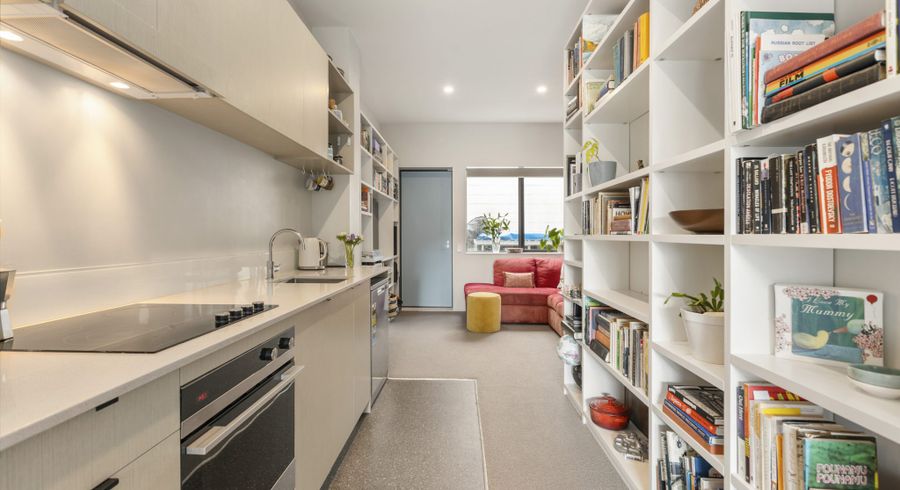  at 12 Arney Street, Newtown, Wellington, Wellington