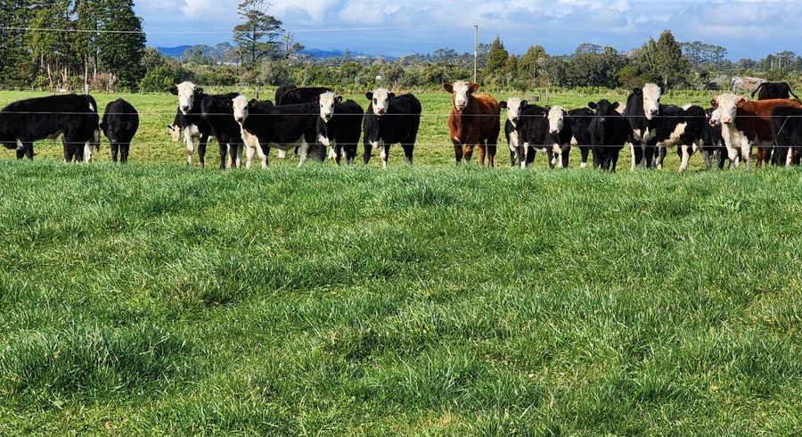  at Lot 3, 454 Norfolk Road, Inglewood, New Plymouth, Taranaki