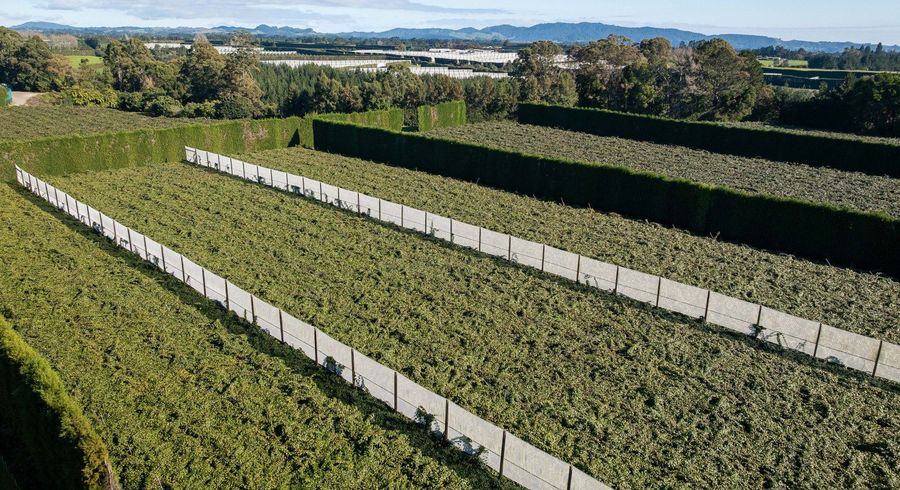  at 172 Maungarangi Road, Te Puke, Western Bay Of Plenty, Bay Of Plenty