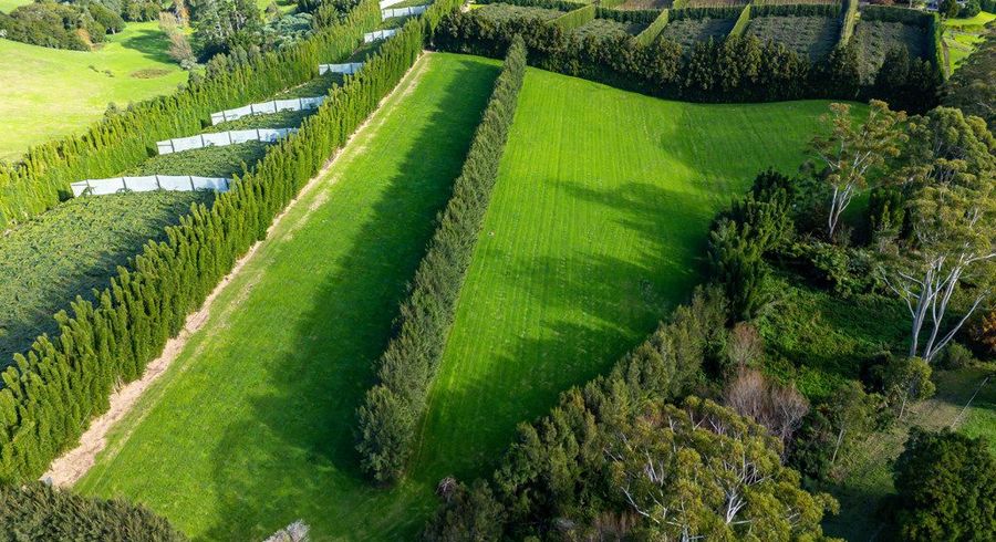  at 8 & 2/75 Riddell Road, Kerikeri, Far North, Northland
