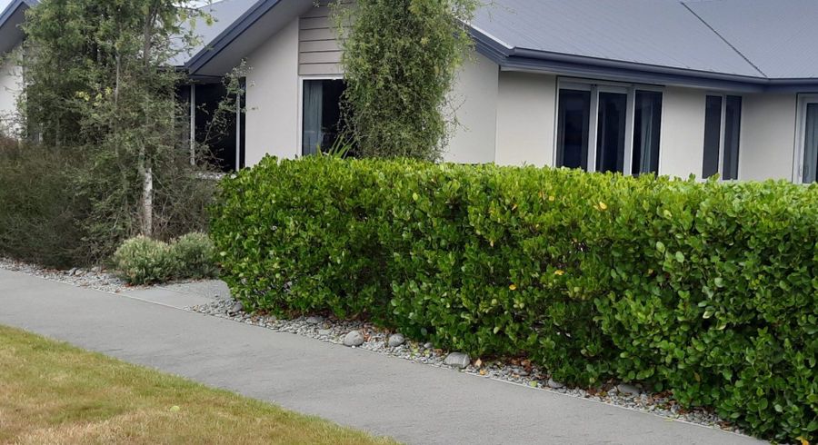  at 37 Te Kereme Street, Marshland, Christchurch City, Canterbury