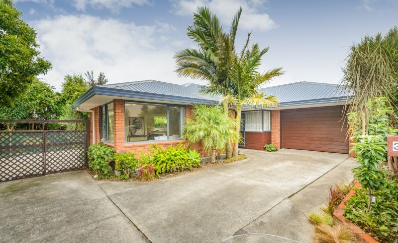  at 36 Beresford Street, Takaro, Palmerston North