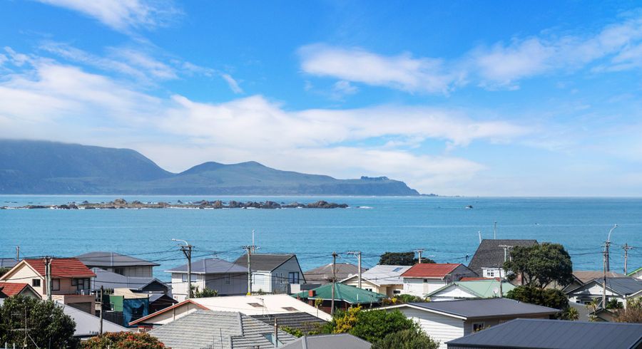  at 162 Sutherland Road, Lyall Bay, Wellington, Wellington