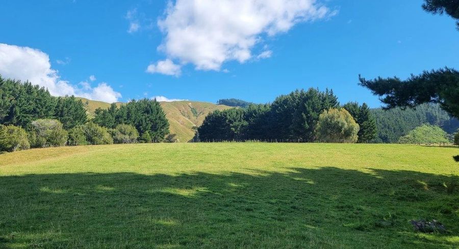  at 216 Potts Road, Koputaroa