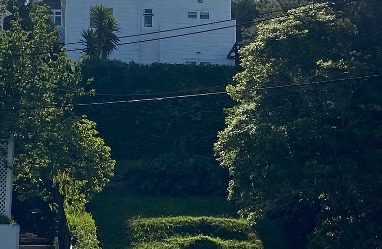  at 14 Brooklyn Road, Aro Valley, Wellington, Wellington