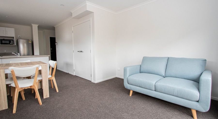  at 8/17 Lyon Street, Frankton, Hamilton