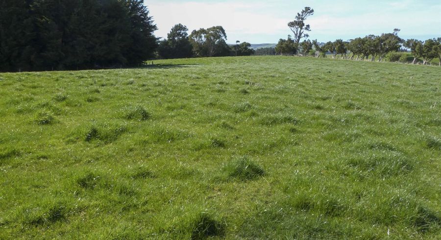  at 22 Davidson Road, Wyndham, Southland, Southland