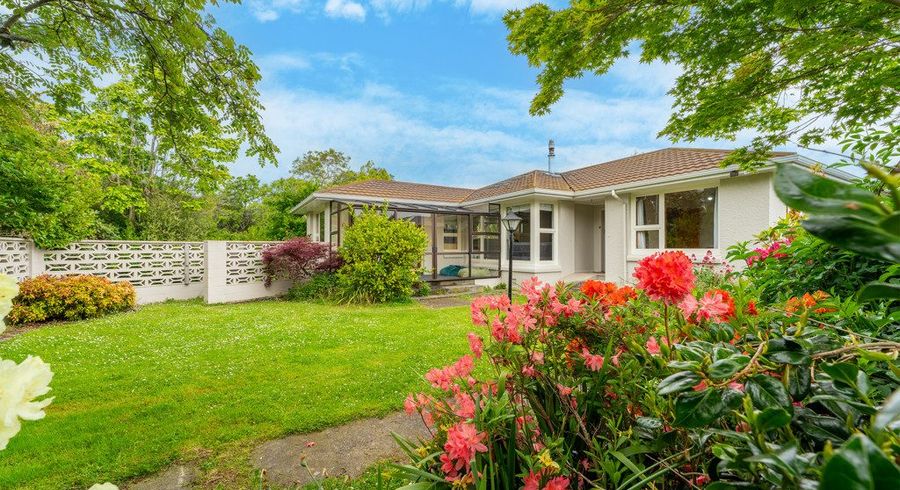  at 53 Campbell Street, Geraldine