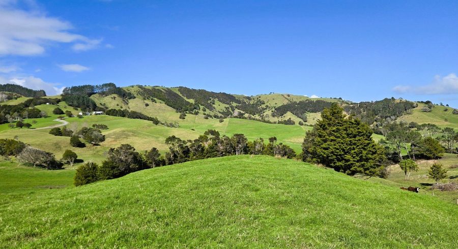  at Whakahara Road, Dargaville, Kaipara, Northland