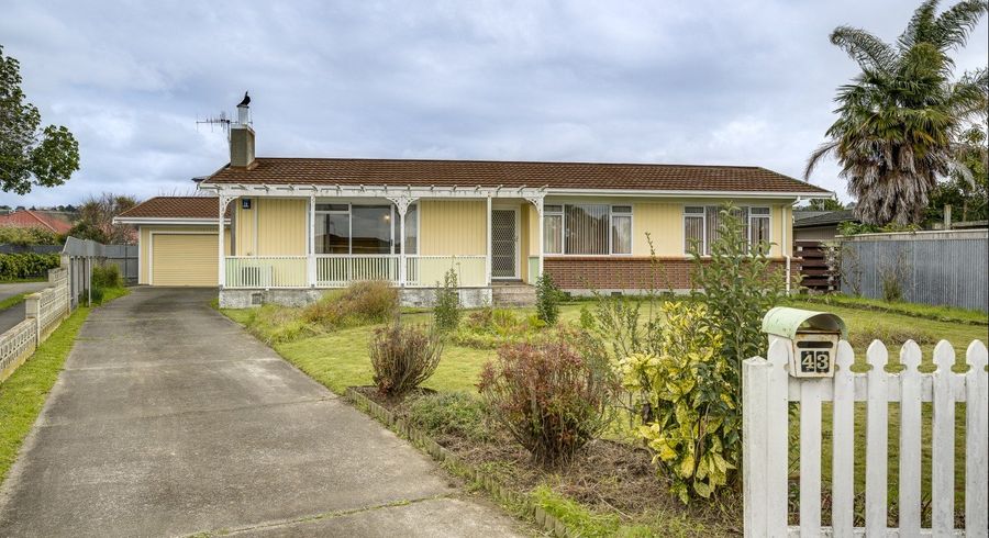  at 43 Holyrood Street, Taradale, Napier, Hawke's Bay