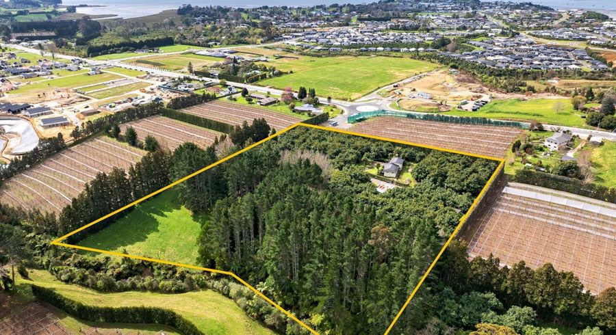  at 61 Prole Road, Omokoroa, Western Bay Of Plenty, Bay Of Plenty
