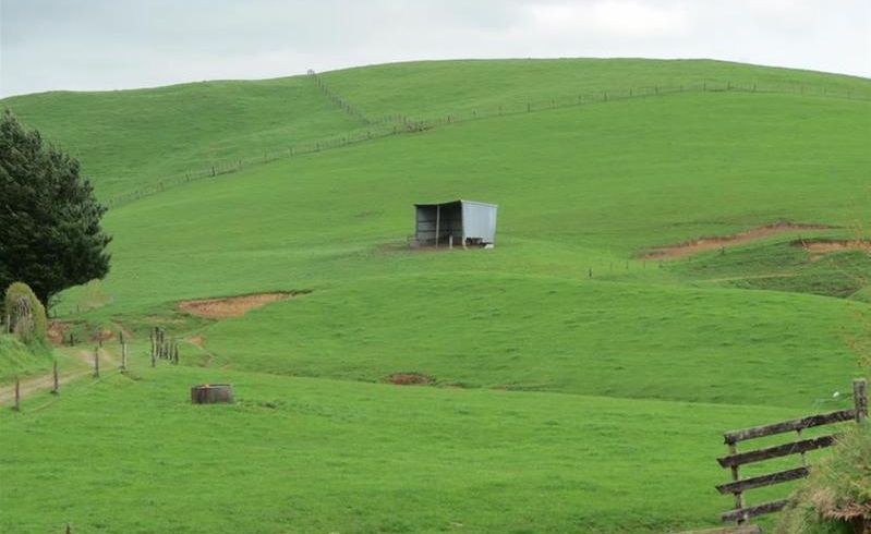  at 688 Bristol Road, Waitui, Inglewood