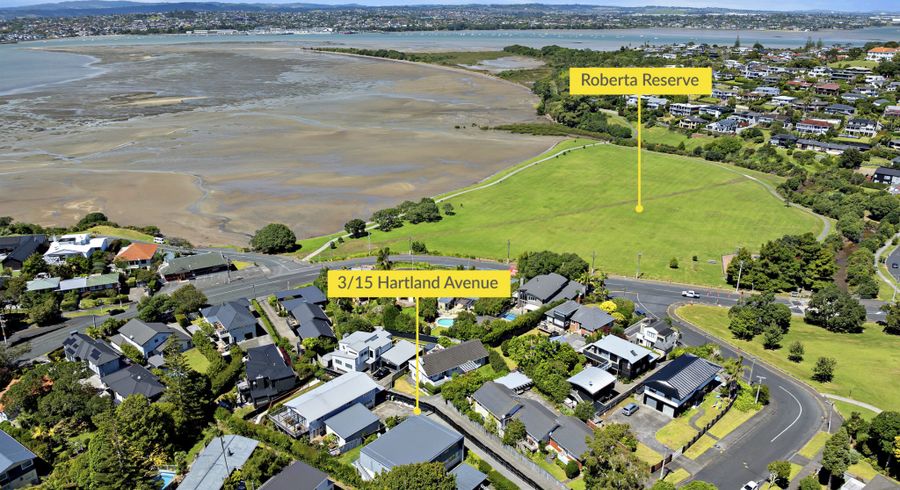  at 3/15 Hartland Avenue, Glendowie, Auckland City, Auckland