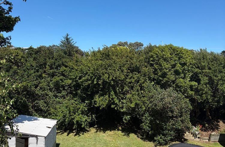  at 101 Alexander Road, Raumati Beach, Kapiti Coast, Wellington