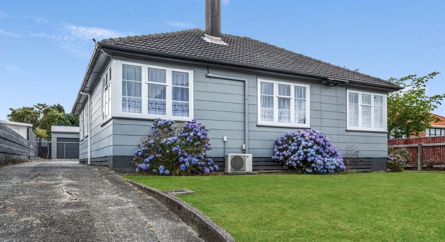  at 17 Ngarimu Street, Roslyn, Palmerston North, Manawatu / Whanganui