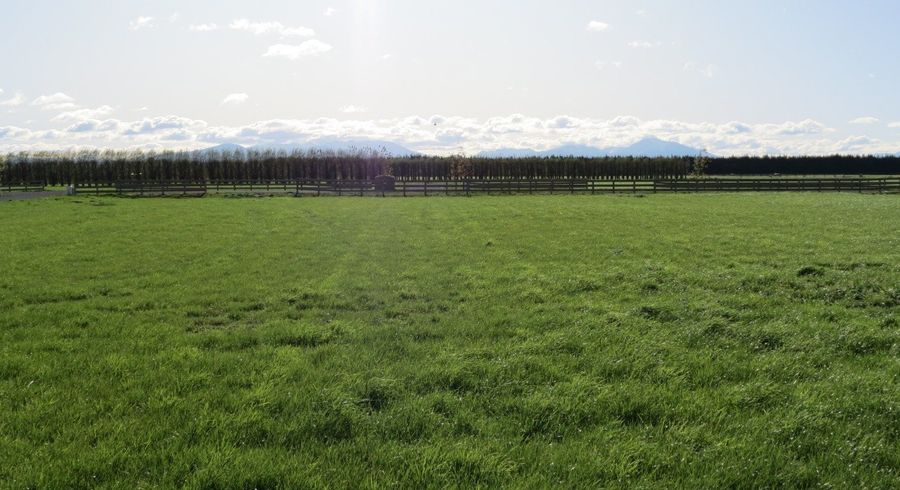  at 18 Westview Drive, Tinwald, Ashburton