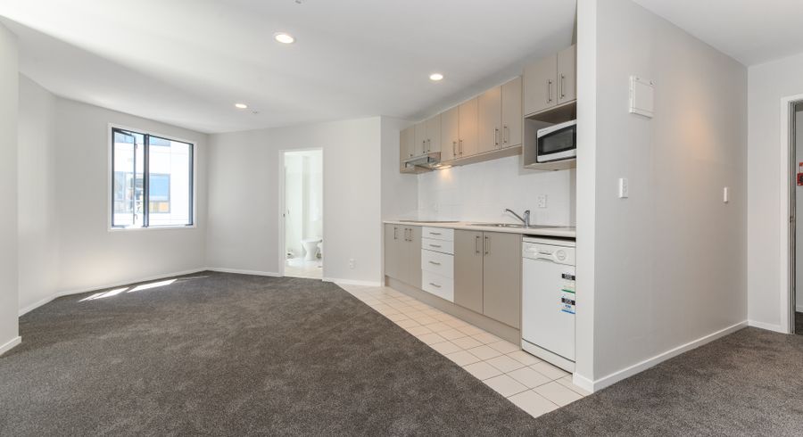  at 13F/33 Mount Street, Auckland Central, Auckland