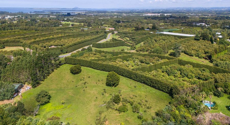  at 11/Lot 11 Timon Drive, Katikati, Western Bay Of Plenty, Bay Of Plenty