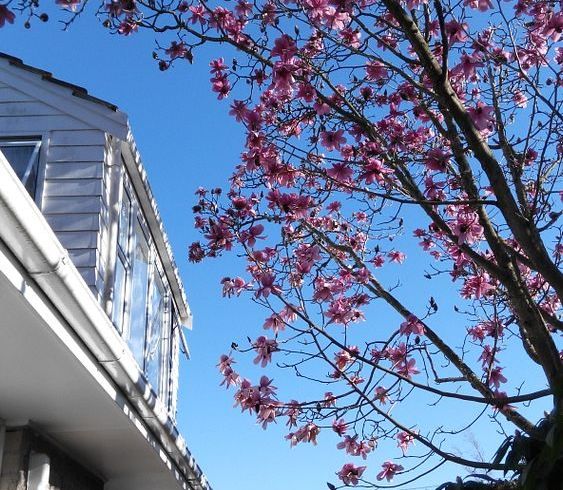  at 5 Dalton Place, Burnside, Christchurch City, Canterbury