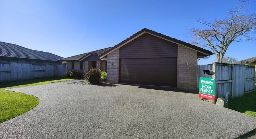  at 16 Tennille Street, Flagstaff, Hamilton, Waikato
