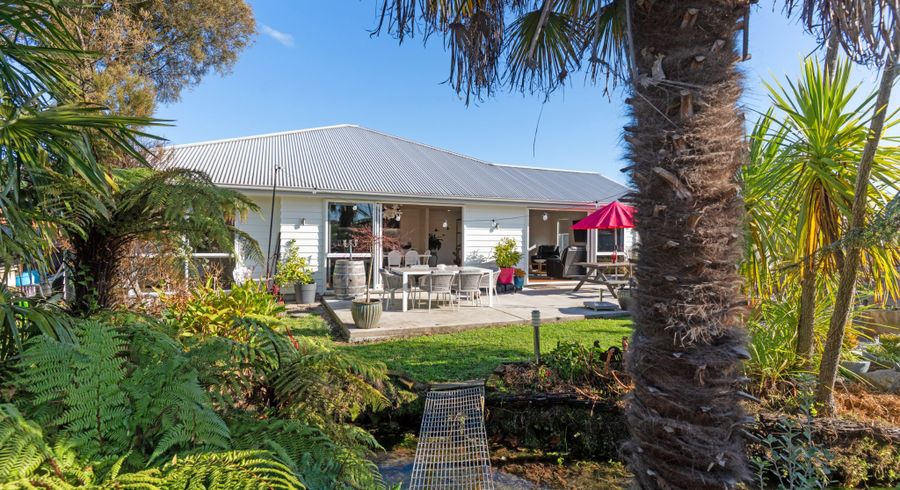 at 31 Kuripuni Street, Masterton, Masterton, Wellington