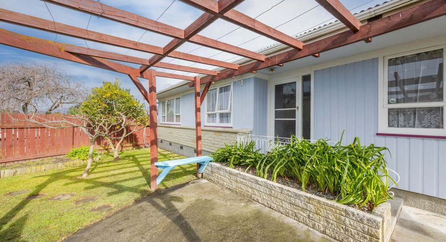  at 24 Essex Street, Tamatea, Napier, Hawke's Bay
