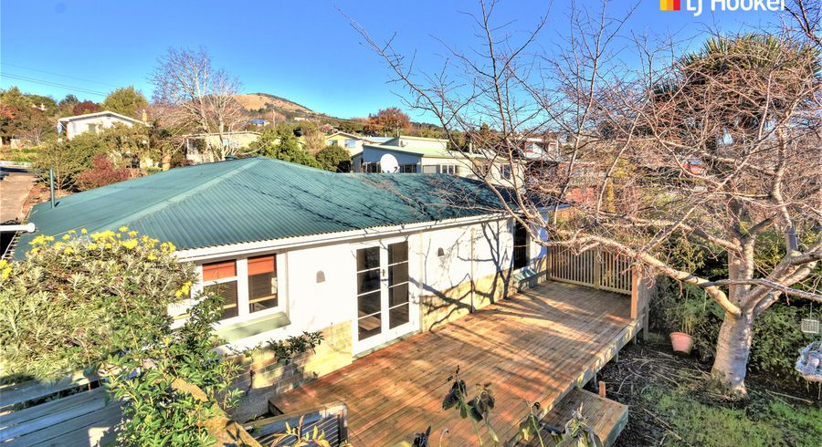  at 17 Tweed Street, Kinmont Park, Mosgiel