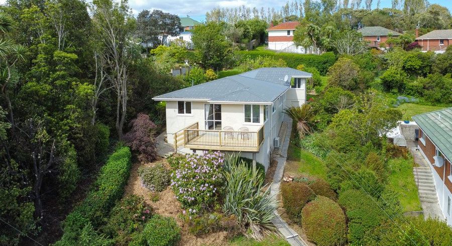  at 38 Hillary Street, Liberton, Dunedin, Otago