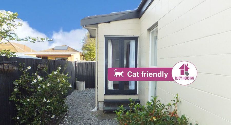  at 6/23 Frederick Street, Waltham, Christchurch City, Canterbury