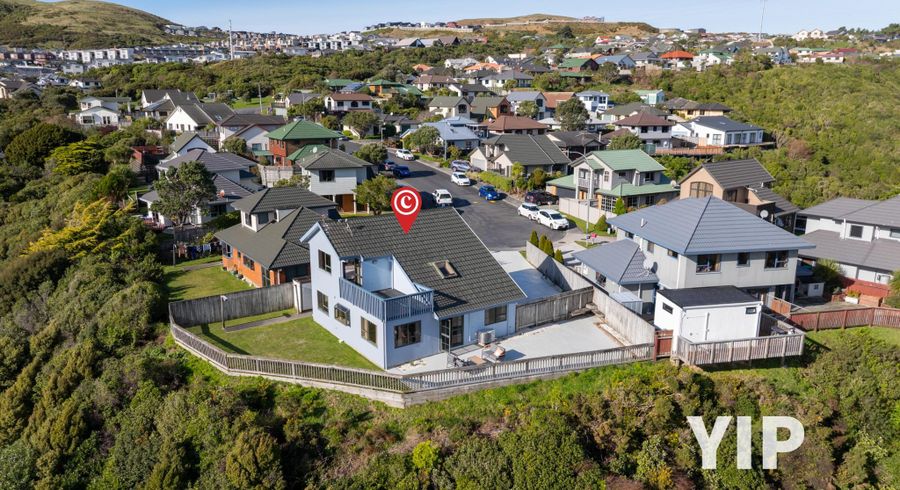  at 22 Peppertree Lane, Woodridge, Wellington, Wellington