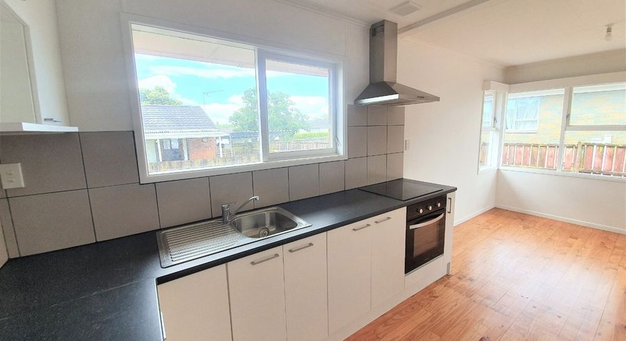  at 313A Pakuranga Road, Pakuranga, Manukau City, Auckland