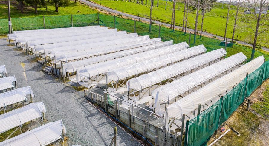  at 413 Otaika Valley Road, Otaika, Whangarei, Northland