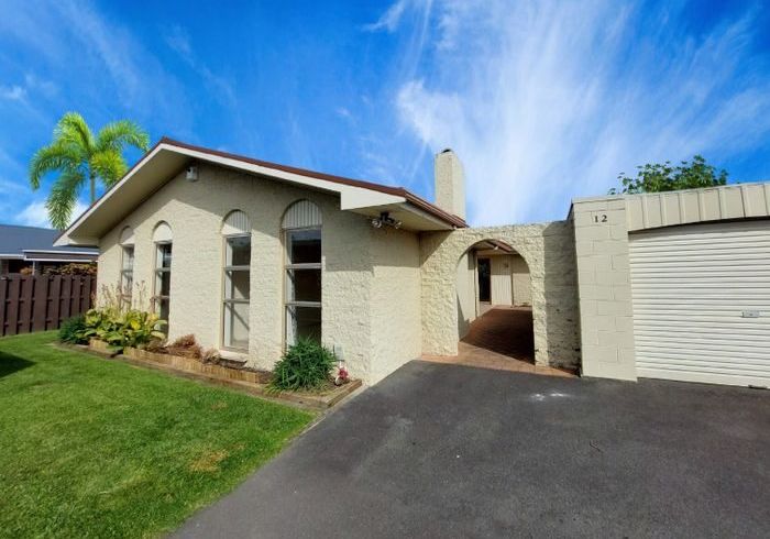  at 12 Chequers Avenue, Chartwell, Hamilton, Waikato
