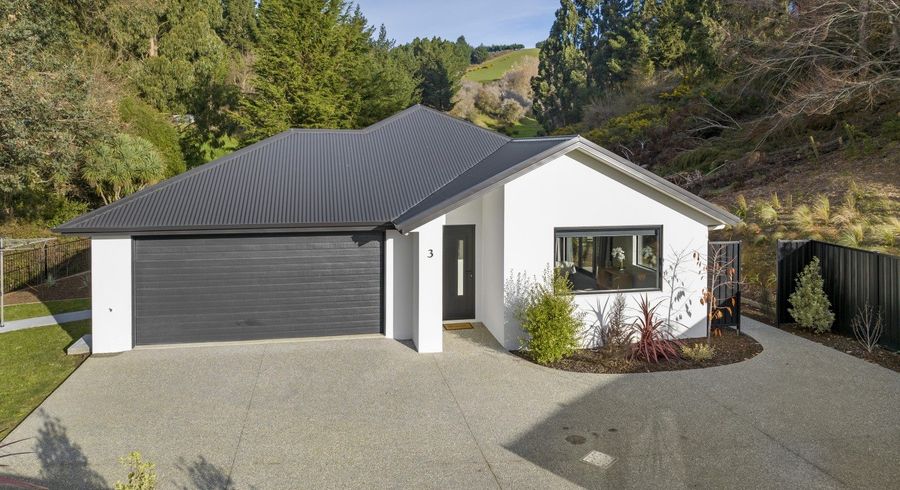  at 3 Rose Drive, Concord, Dunedin