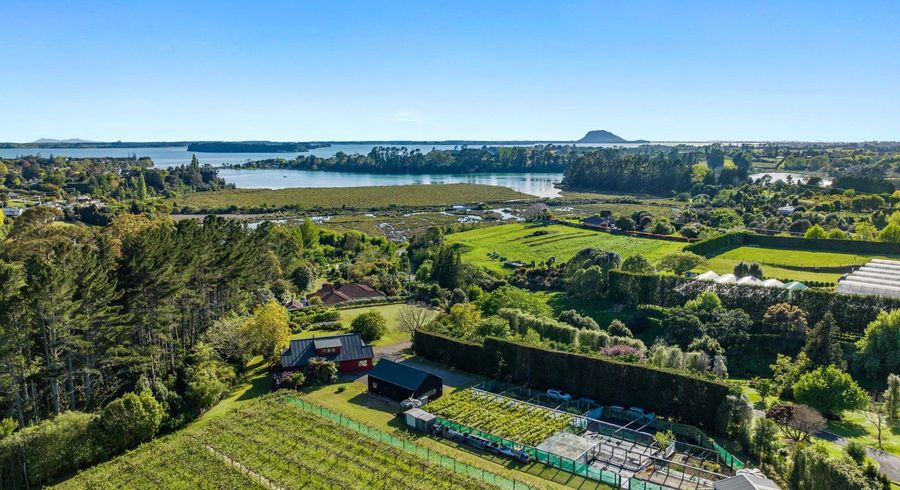  at 34B Jess Road, Whakamarama, Western Bay Of Plenty, Bay Of Plenty