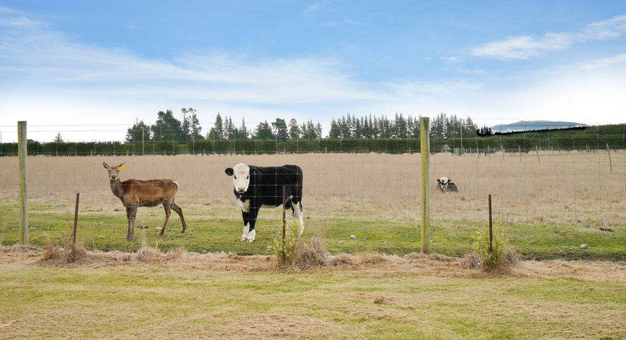  at 2555 South Eyre Road, Eyrewell, Rangiora