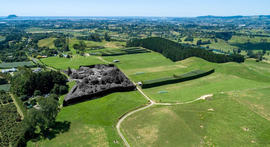  at 39  Vernon Road, Te Puna, Western Bay Of Plenty, Bay Of Plenty