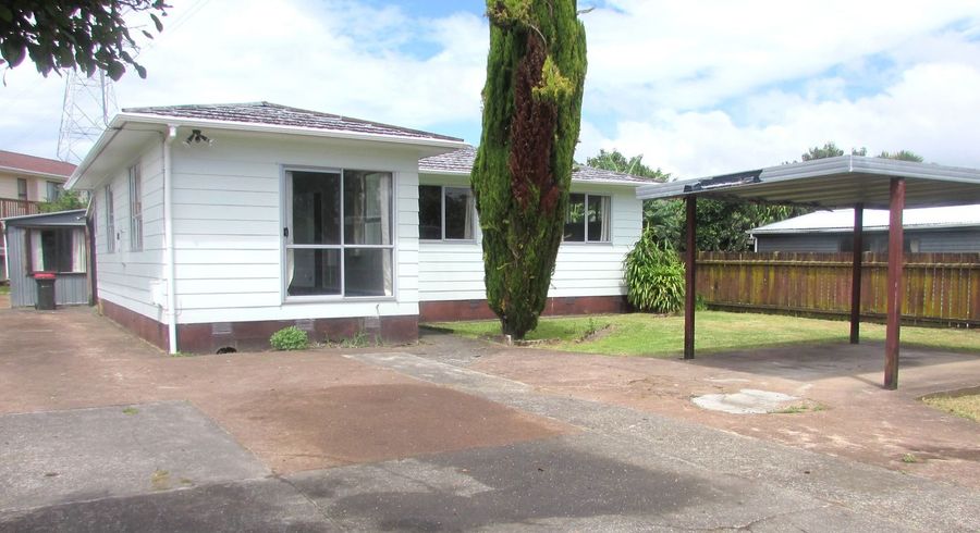  at 146 Riversdale Road, Avondale, Auckland City, Auckland