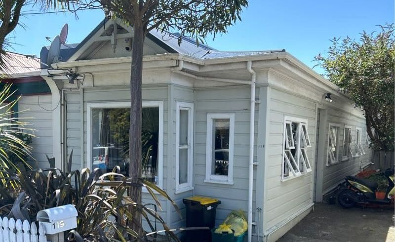  at 119  Hanson St, Newtown, Wellington, Wellington